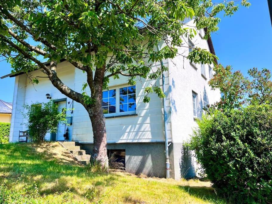 Villa Haus Caroline Hallschlag Esterno foto